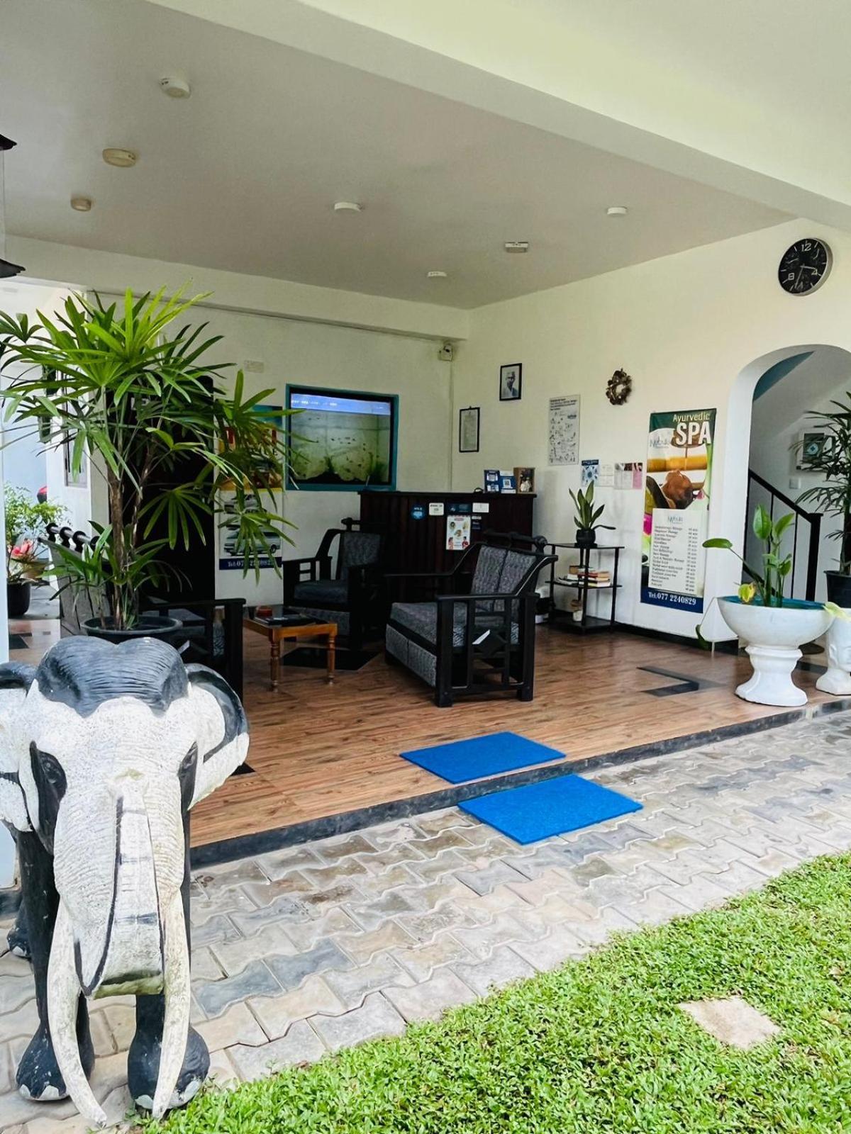 Nebula Residence Negombo Bagian luar foto